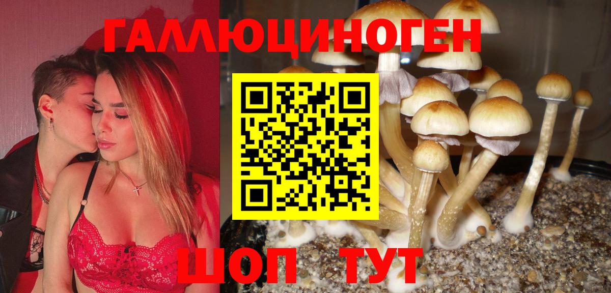 Псилоцибиновые грибы Cubensis  Вход с VPN  Серов 